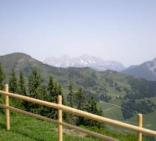 Auf dem Kohlmaiskopf