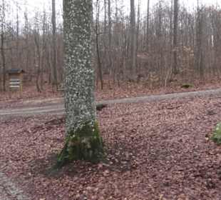 Wildpark Eichert