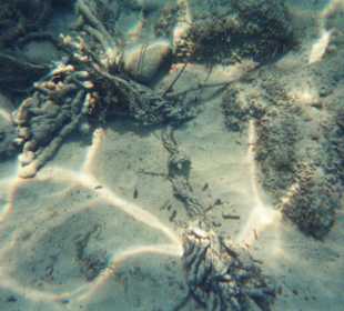 Unterwasserbild in Formentor