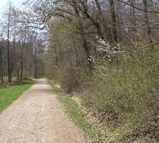 Spazierweg Ritter Museum