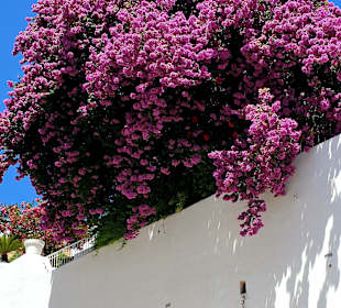 Ausflug nach Karthago und Sidi Bou Said