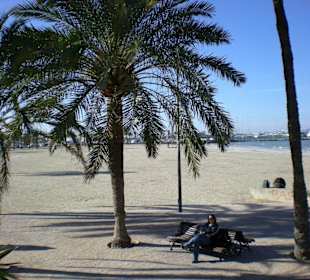 Palmenstrand von El Arenal im Januar