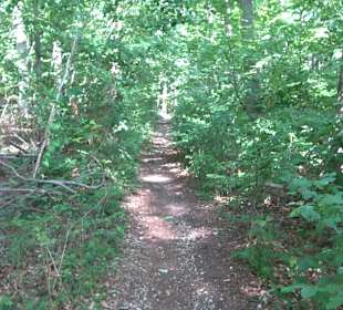 Wandertour Greifensteinrunde