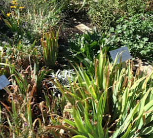 Klosterkirche Maria Gnadenzell