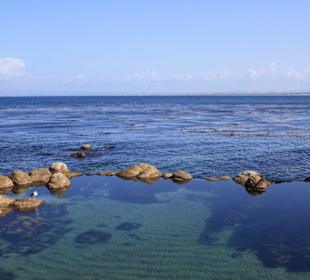 Ausblick vom Monterey Bay Aquarium 