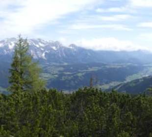 Mal eine Panoramaaufnahme