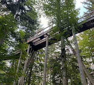 Baumwipfelpfad Bayerischer Wald 