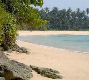 Strandabschnitt