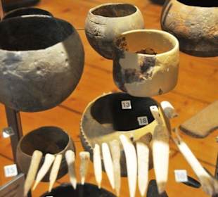 Exponate in den Vitrinen