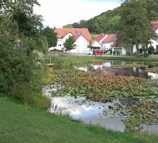 Hüle Zainingen