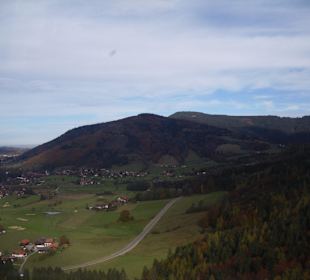 RauschbergImpressionen