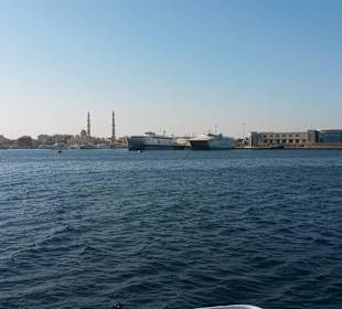 Blick vom Boot bei Delphintour