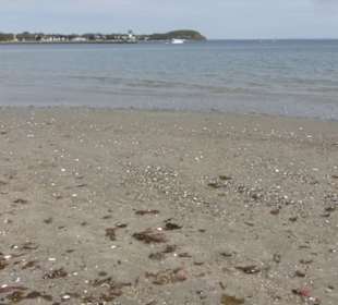 Im Mai 2022 am Strand von Priwall