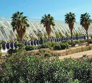 Museum de las Ciencias