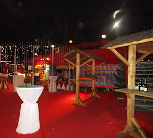 Landauer Weihnachtcircus 2016