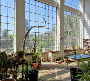 In den historischen Gewächshäusern des Gartens