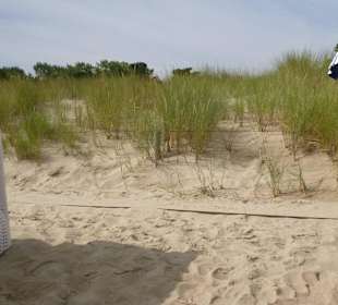 Aussicht vom Strandkorb, Strand in Baabe