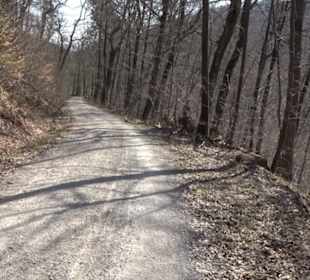 Geologischer Lehrpfad Kirnbachtal