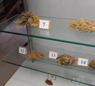 Natur- und Jagdmuseum