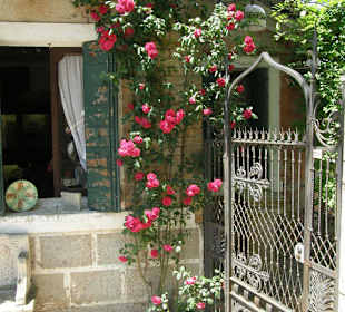 О. Торчелло