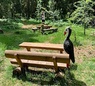 Wandern Bischofsmais