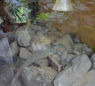 Irrland Bauernhof-Erlebnisoase