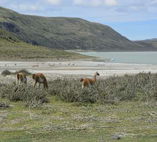 Park Narodowy Torres del Paine