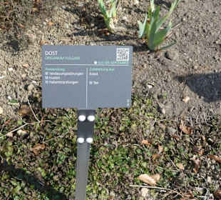 Hinweistafel zum eingepflanzten Kraut