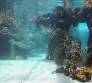 Natur- und Erlebnispark Xcaret