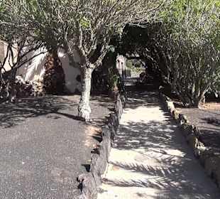 Guinitate Tropical Park