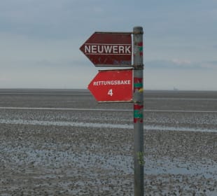 Fahrt mit der Pferdekutsche zur Insel Neuwerk