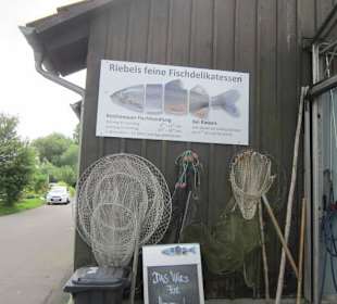 Insel Reichenau Fischer