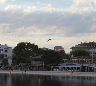 Strand Alcudia