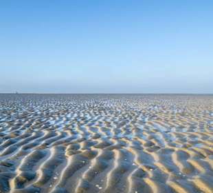 Wattenmeer