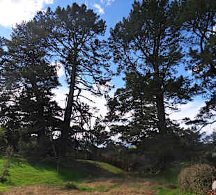 Hobbitton
