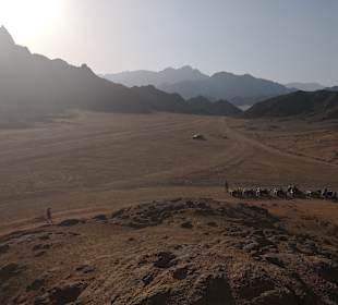 Wandern Sharm El Sheikh / Ras Um El Sid