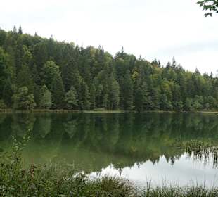 Beim Frillensee