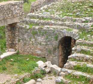 Anemurium