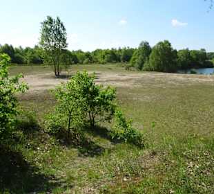 Spaziergang durch den Sandtrockenrasen Achim