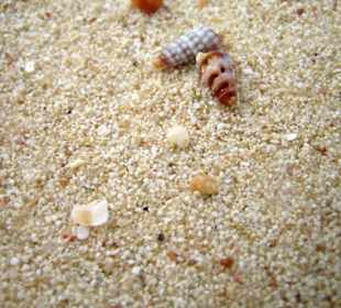 Strand an den Giftun Inseln