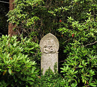 Кладбище Ольсдорф, Гамбург, 16 сентября 2013 года