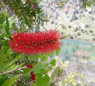 Wandern Georgioupolis