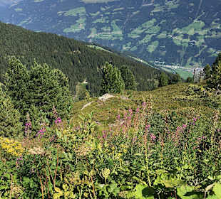 Wandern Hintertux/Zillertal