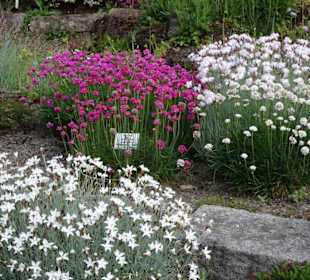 Spaziergang durch den Botanischen Garten Bremen
