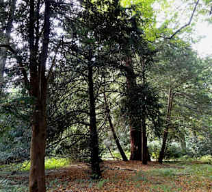 Spaziergang durch Wätjens Park