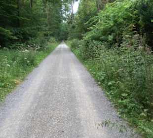 Sonnenaufgangs-Rundwanderung Rübgarten