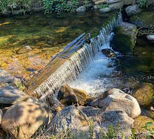 Wandern Oberprechtal