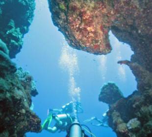 Taucher am Hausriff Hotel Jaz Solaya Resort