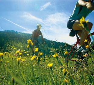 Radwandern im Tannheimer Tal