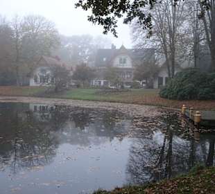 Herbstnebel im Bremer Bürgerpark